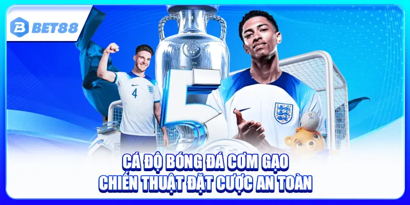 Cá Độ Bóng Đá Cơm Gạo